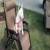 kathy_matejcek@faribault.k12.mn.us's picture